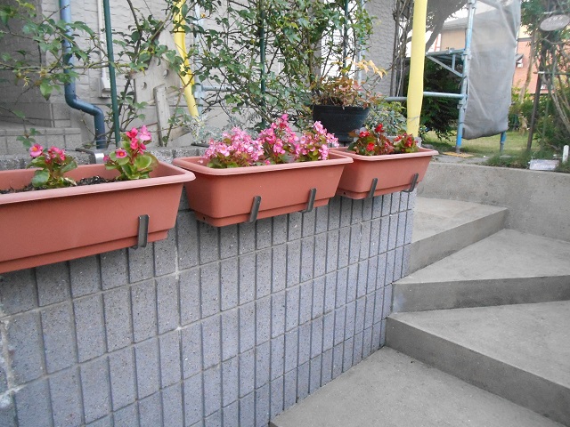 DSCN0518.JPG