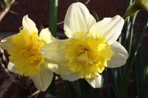 2015032403.JPG