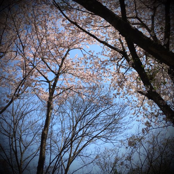 rblog-20180331172913-03.jpg