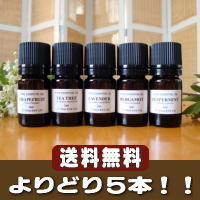 img56609856.jpg