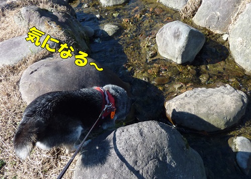 水音も気になる～