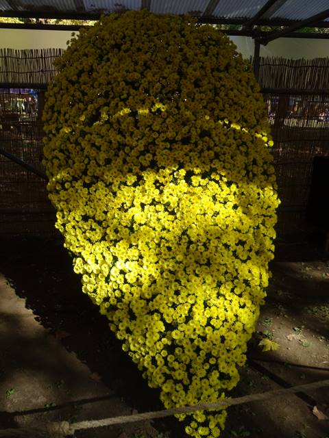 DSC07506_R.JPG
