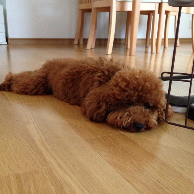 rblog-20130531164512-00.jpg