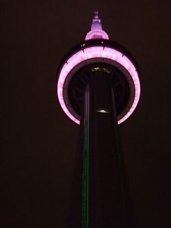 10.6 CN tawa-  raitoappu.jpg