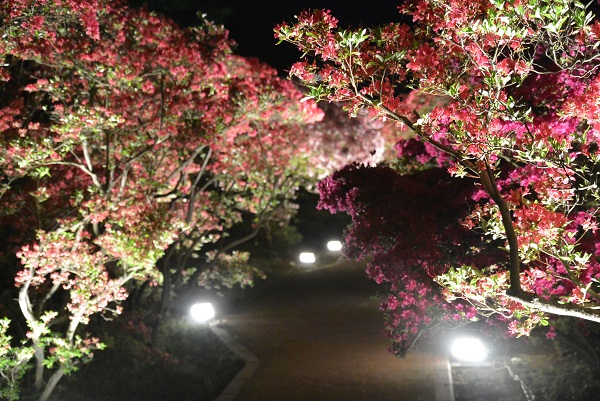 小室山公園 伊豆高原パルテール撮影
