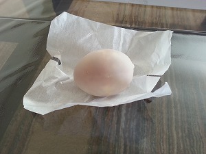丹頂鶴の卵