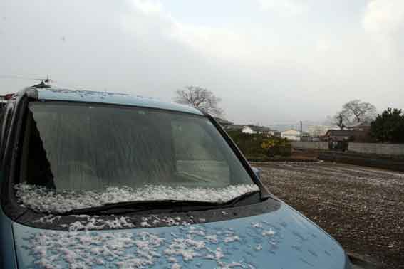 雪景色2012/0126-3♪