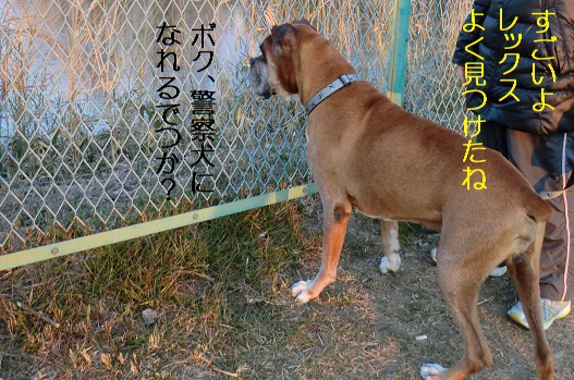 すごい