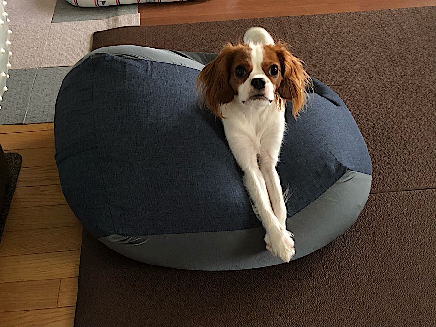 rblog-20180831082858-01.jpg