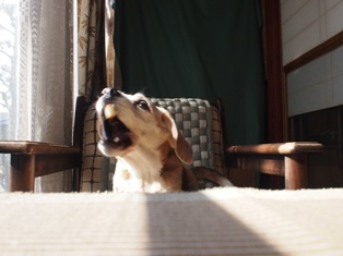 春の陽射しの中で (5)