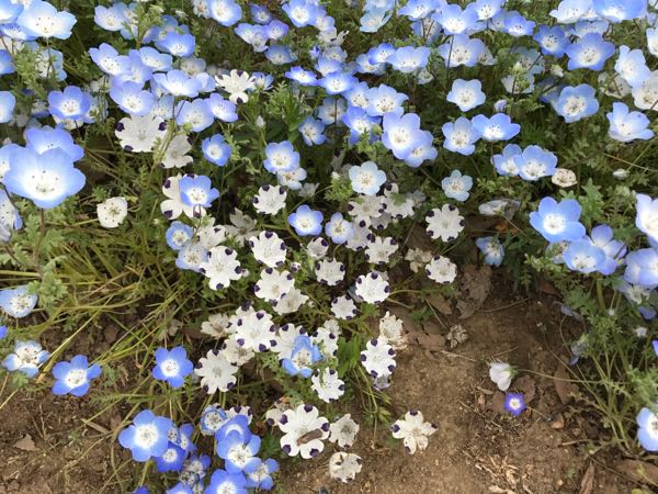 rblog-20170501131858-03.jpg