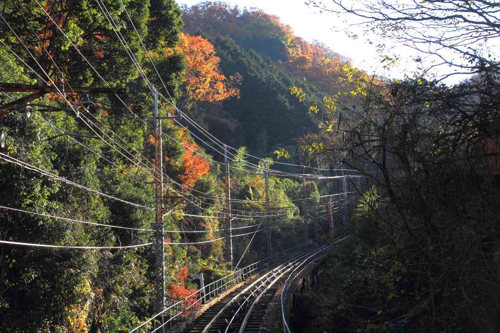 3,210-初冬の高安山・信貴山その1 Huちゃん 写真日記 楽天ブログ