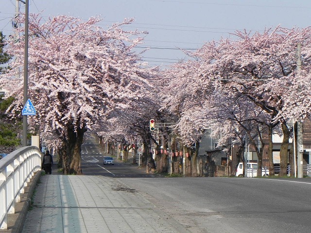DSCN2722.jpg
