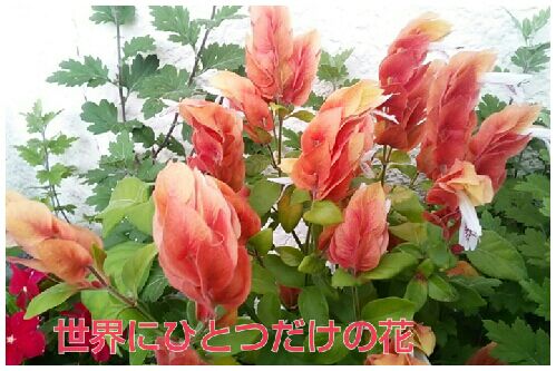 rblog-20160621063034-00.jpg