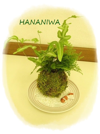 2012_0825トレッサ用寄せ植えとクレマチスの講座とカ0002.JPG
