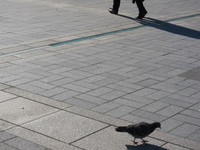 Img_0532 Img_0532
