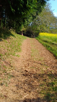 最後の坂道２