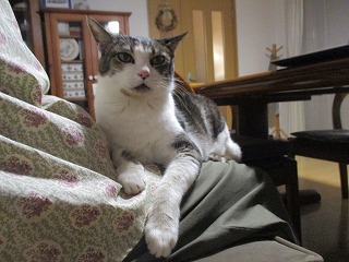 IMG_9448ss.jpg