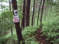 20120624_87.jpg