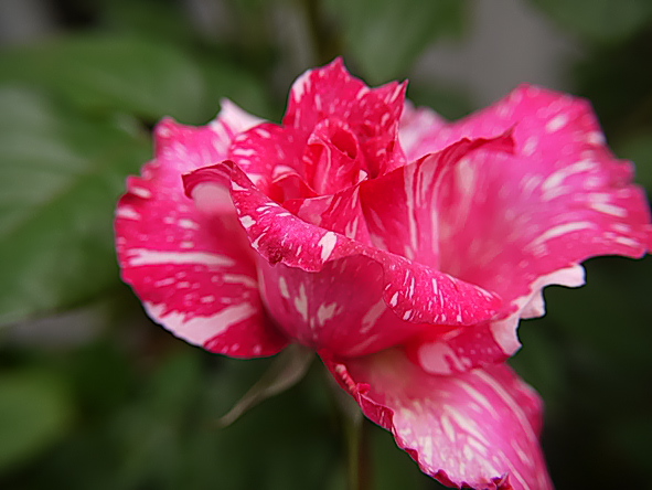 モダン・タイムズ