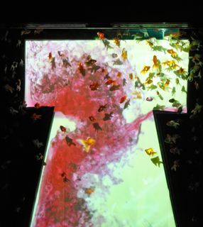 アートアクアリウム5