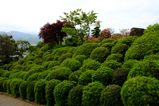 2016 04 23_4294.jpg