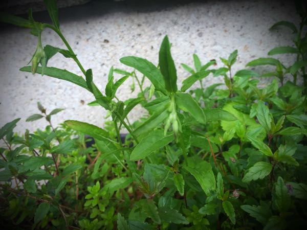 rblog-20160427174116-03.jpg