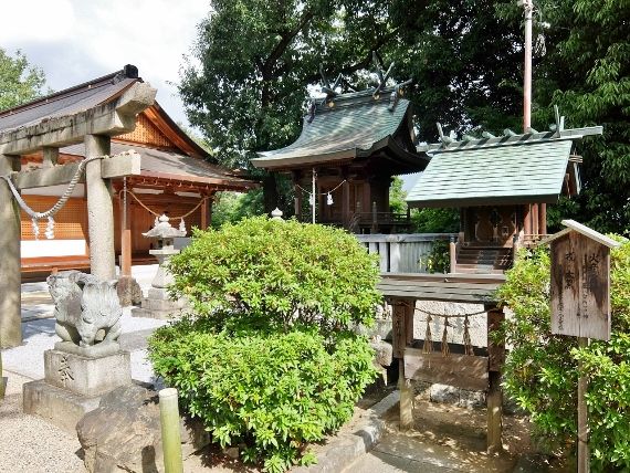 阿智神社の本殿　倉敷の街を散歩　観光 ブログ　旅行記