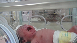 20120826144110.jpg