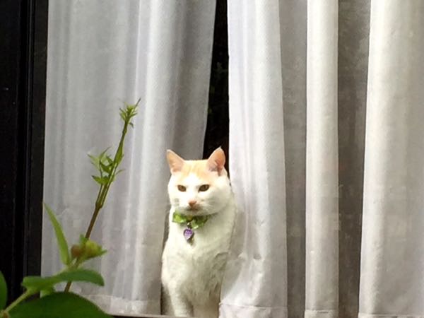 rblog-20160530215815-01.jpg