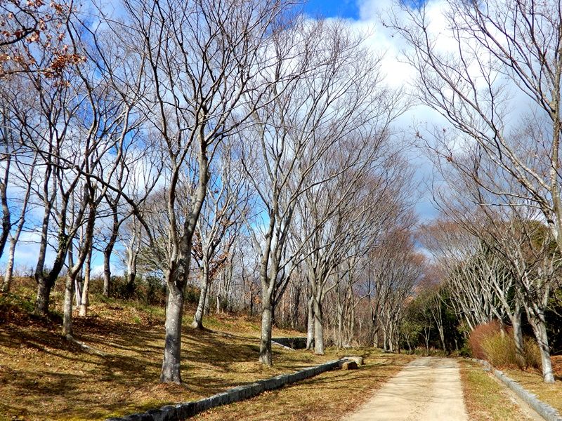 外周路2