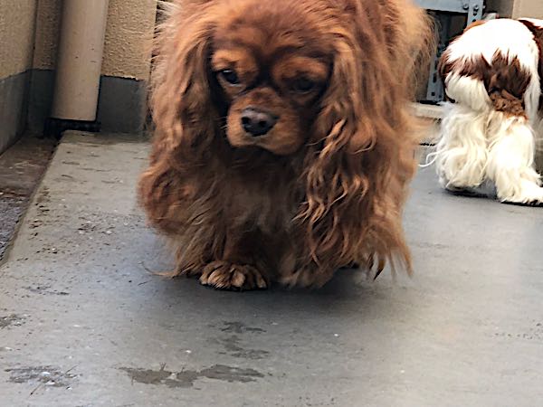 rblog-20180222213029-04.jpg