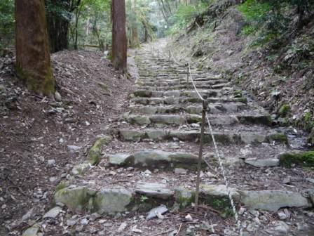 P1060343（山道）.jpg