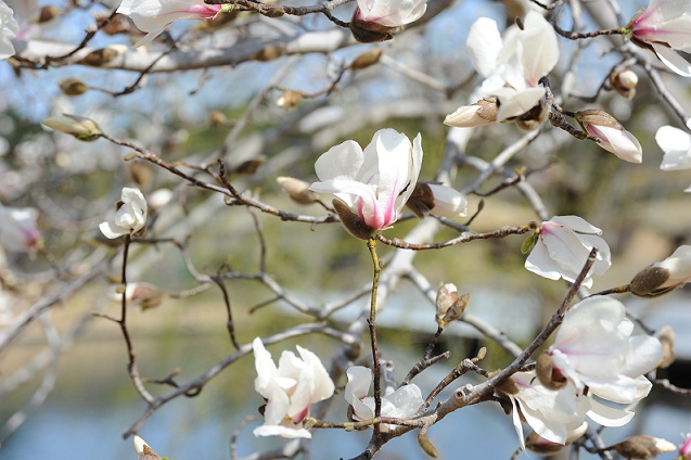 2013.3.22 028.JPG