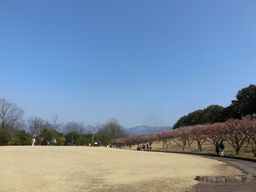 桐生市南公園