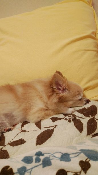 rblog-20180912214852-01.jpg