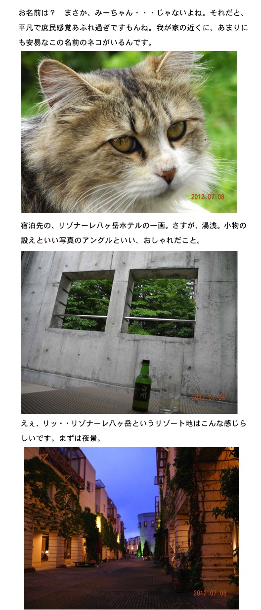 2012.07.14-2.jpg