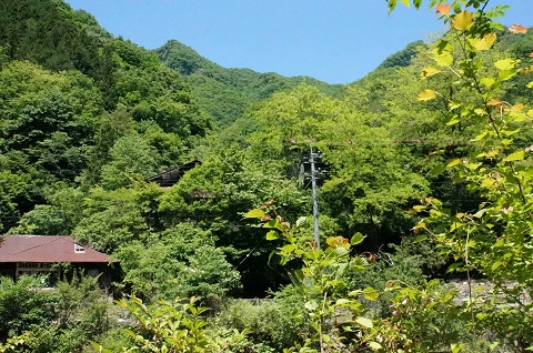 DSC08738.JPG