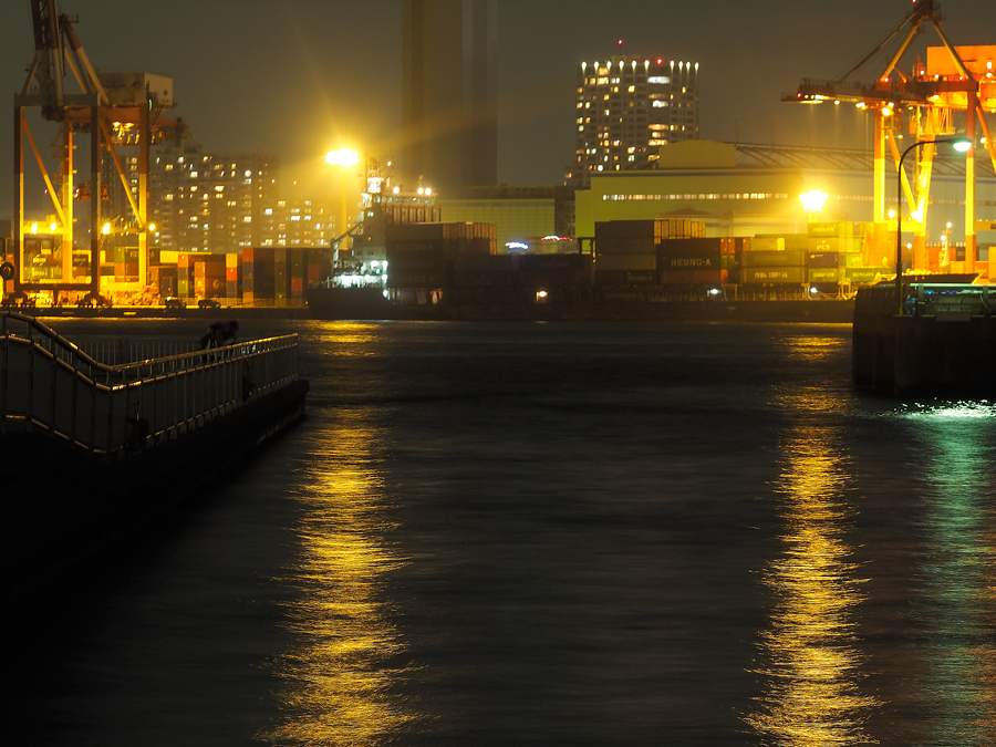 _A250669.jpg