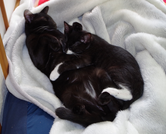 mari_2014111303.JPG