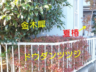 20121119_7.jpg