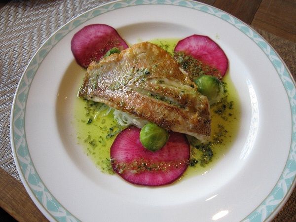 メルマガ 江別市ブログ 楽天ブログ