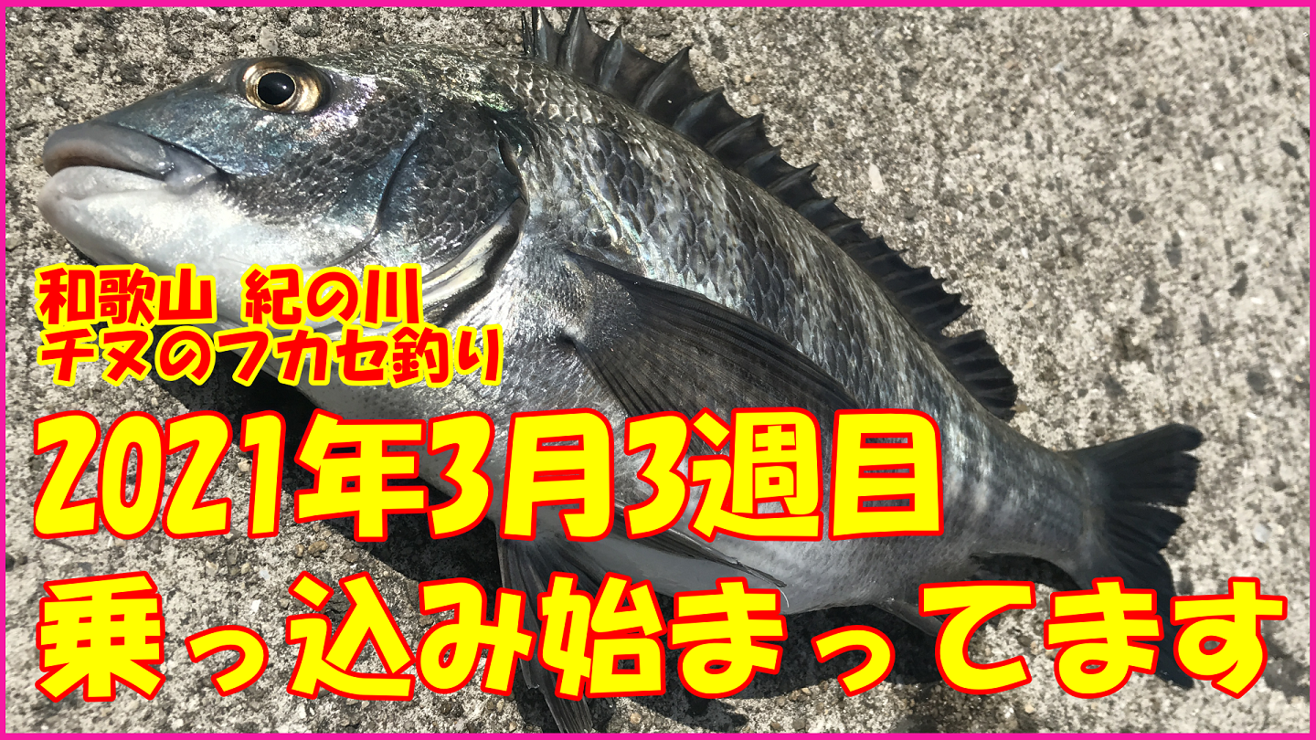 カテゴリ未分類 の記事一覧 とひつの釣りch 楽天ブログ