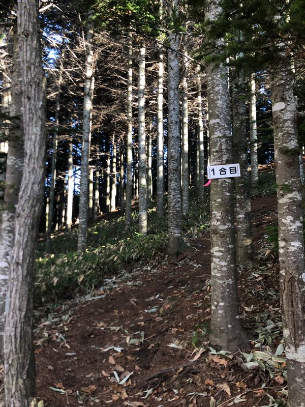 rblog-20181105002050-08.jpg