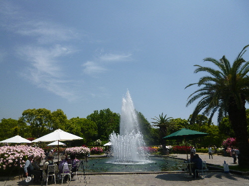 P1100693(1).JPG