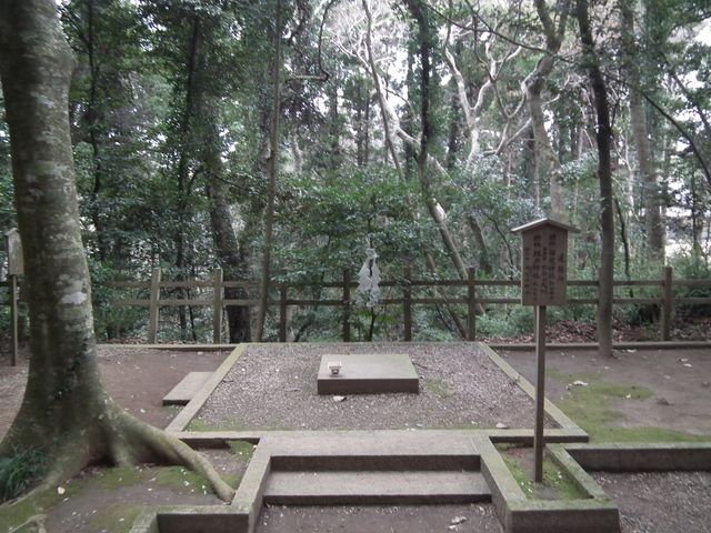 DSCF2161.JPG