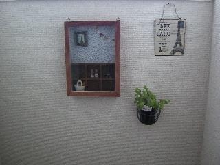 CIMG0272.JPG