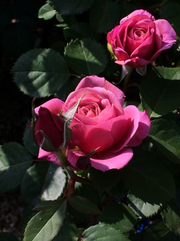 rblog-20140509111430-01.jpg
