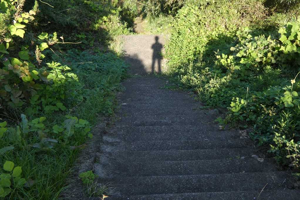 515