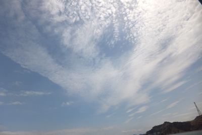 DSCF8290.jpg